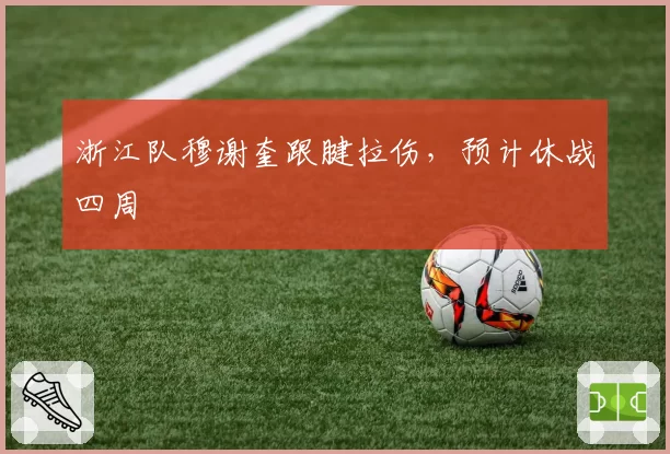 浙江队穆谢奎跟腱拉伤,预计休战四周